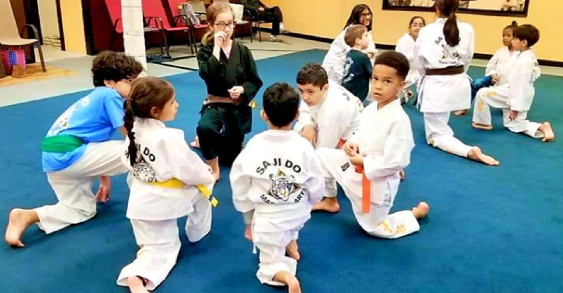 Team Nogueira Dubai - Hey guys, here is our updated schedule. Our kids  programs are back on track! We have now added Karate for our 5-10 year  olds. Also, there is a